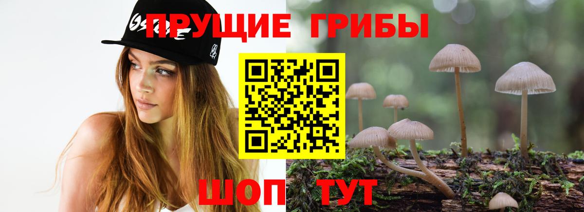 Псилоцибиновые грибы мухоморы Мариинск