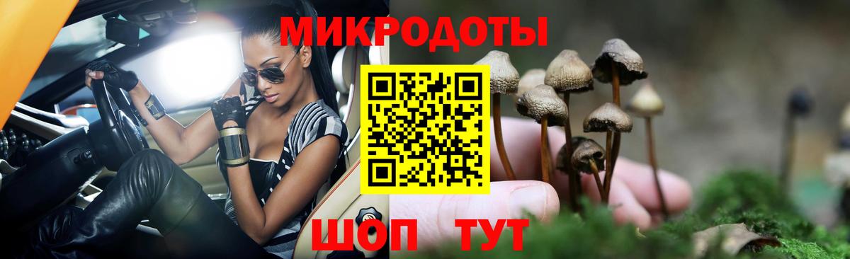 Мариинск  Псилоцибиновые грибы Psilocybine cubensis  что такое   Псилоцибиновые грибы Psilocybine cubensis  Вход с VPN 